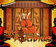 Shaolin Fortunes